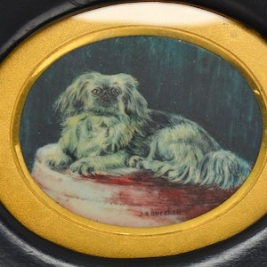 Antique Pekingese Dog Portrait: Victorian Miniature Painting, Signed Framed Art