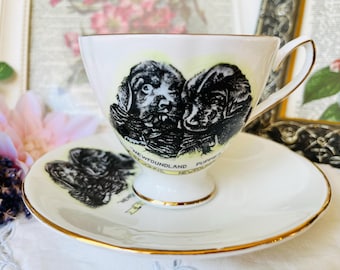 Newfoundland puppy's vintage verzamelobject theekop en schotel in zwart-wit