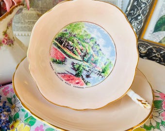 Paragon Tea Cup and Saucer Pink Rock Garden from Hamilton, Vintage English Tea Set, Tea Drinker Gift, Canada Proud