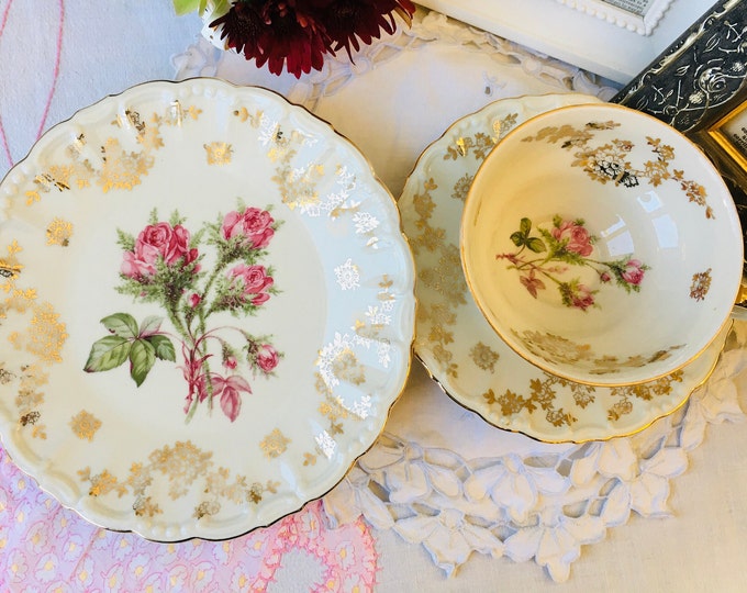 GKC BAVARIA, GERMANY, café, thé, lait, décor, collection, jug, botanical print