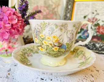 Royal Doulton Brambley Hedge "Spring" Teacup and Saucer, Spring Cottage Critters Scene, Vintage English China Tea Set