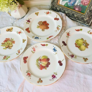 Set of 4 Small Dessert Plates by Hammersley with Harvest Fruits and Floral, Orchard Fruits, Thanksgiving Fall Tea Housewarming Gift
