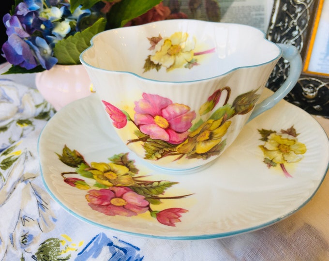 Shelley begonia Dainty Blue Trim Teacup and Saucer Etsy
