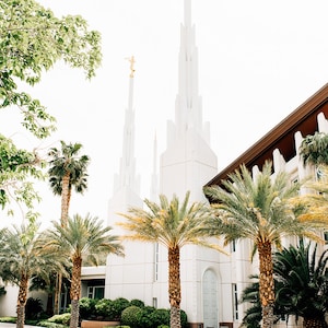 Templo de Las Vegas 5
