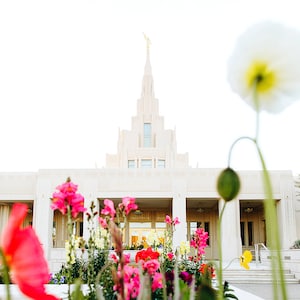 Phoenix Temple Flowers