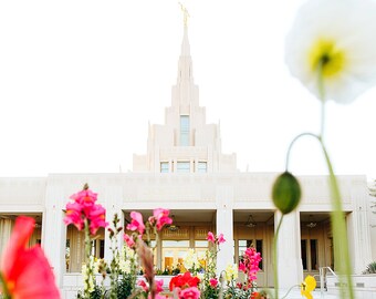 Flores del Templo de Phoenix