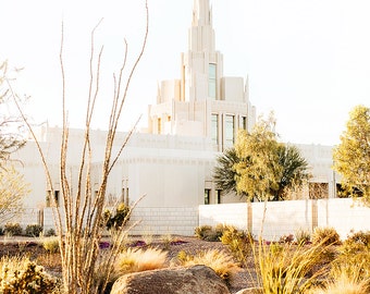 Templo de Phoenix 4