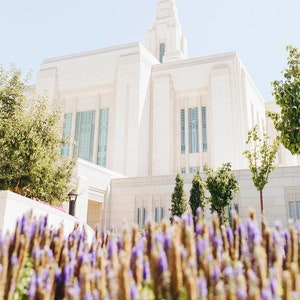 Ogden Utah Temple 9