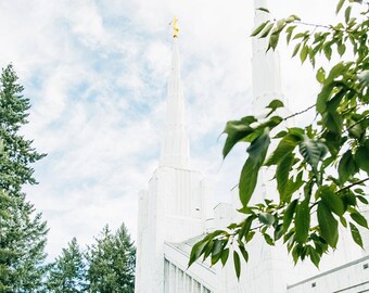 Portland Oregon Temple 7