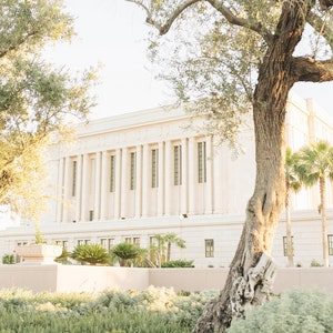 New Mesa Arizona Temple 3
