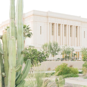 New Mesa Arizona Temple 15
