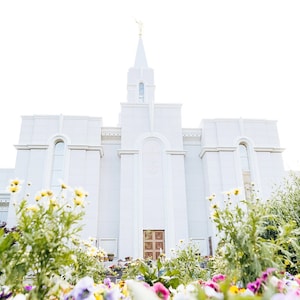 Bountiful Temple 12