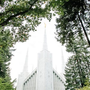 Portland Oregon Temple 4