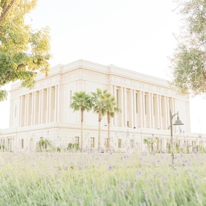 New Mesa Arizona Temple 7