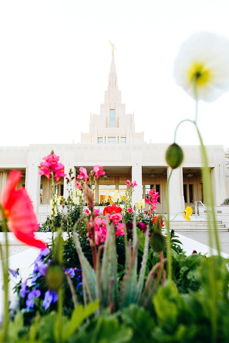 Phoenix Temple Flowers image 1