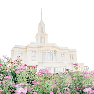 Payson Utah Temple 3