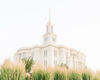 Payson Utah Temple 12