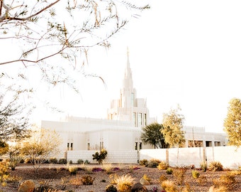 Templo de Phoenix 6