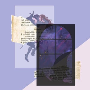 Be My Bad Guy Vellum Art Insert - 2 Pack