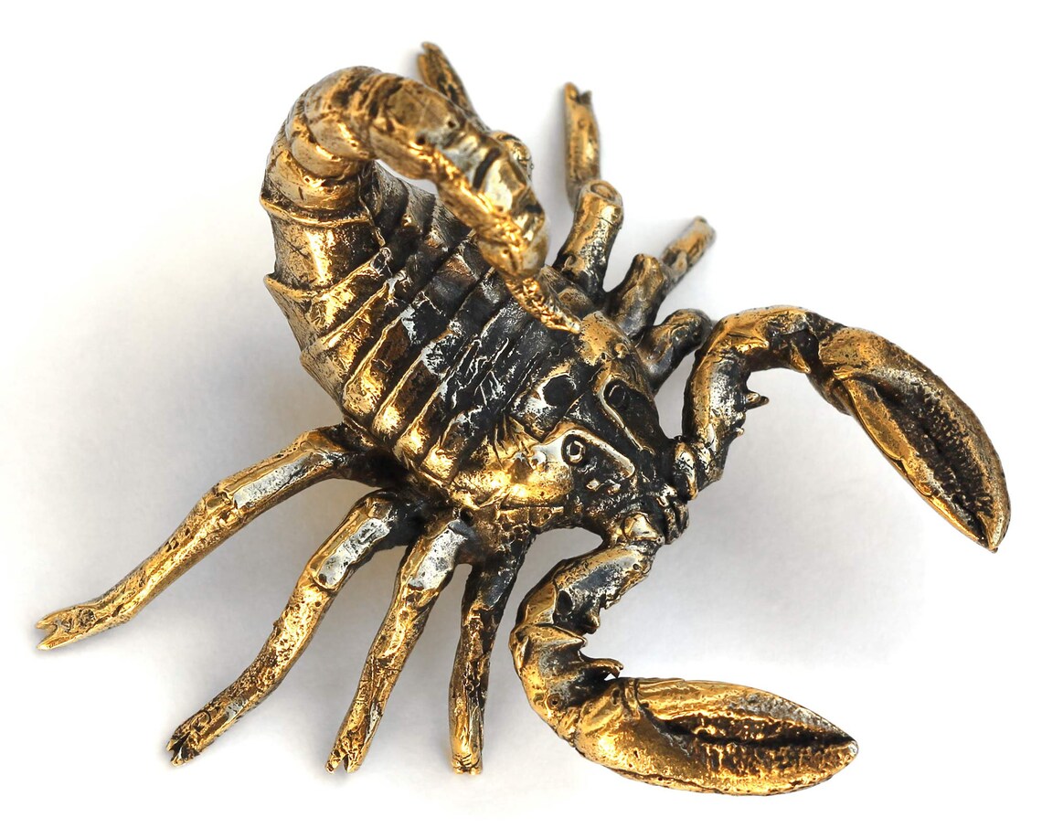 Big Scorpion figurine Bronze statuette Metal figurine scorpion Etsy