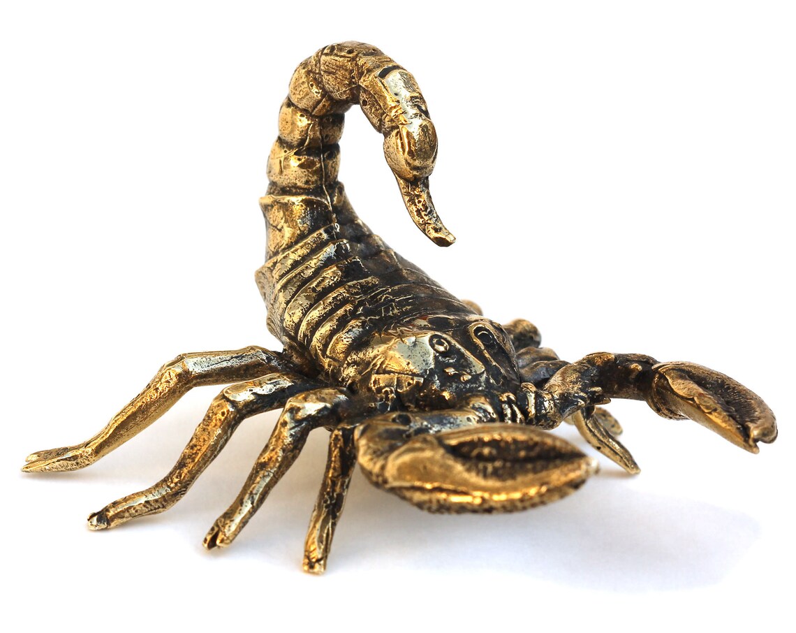 Big Scorpion figurine Bronze statuette Metal figurine scorpion Etsy