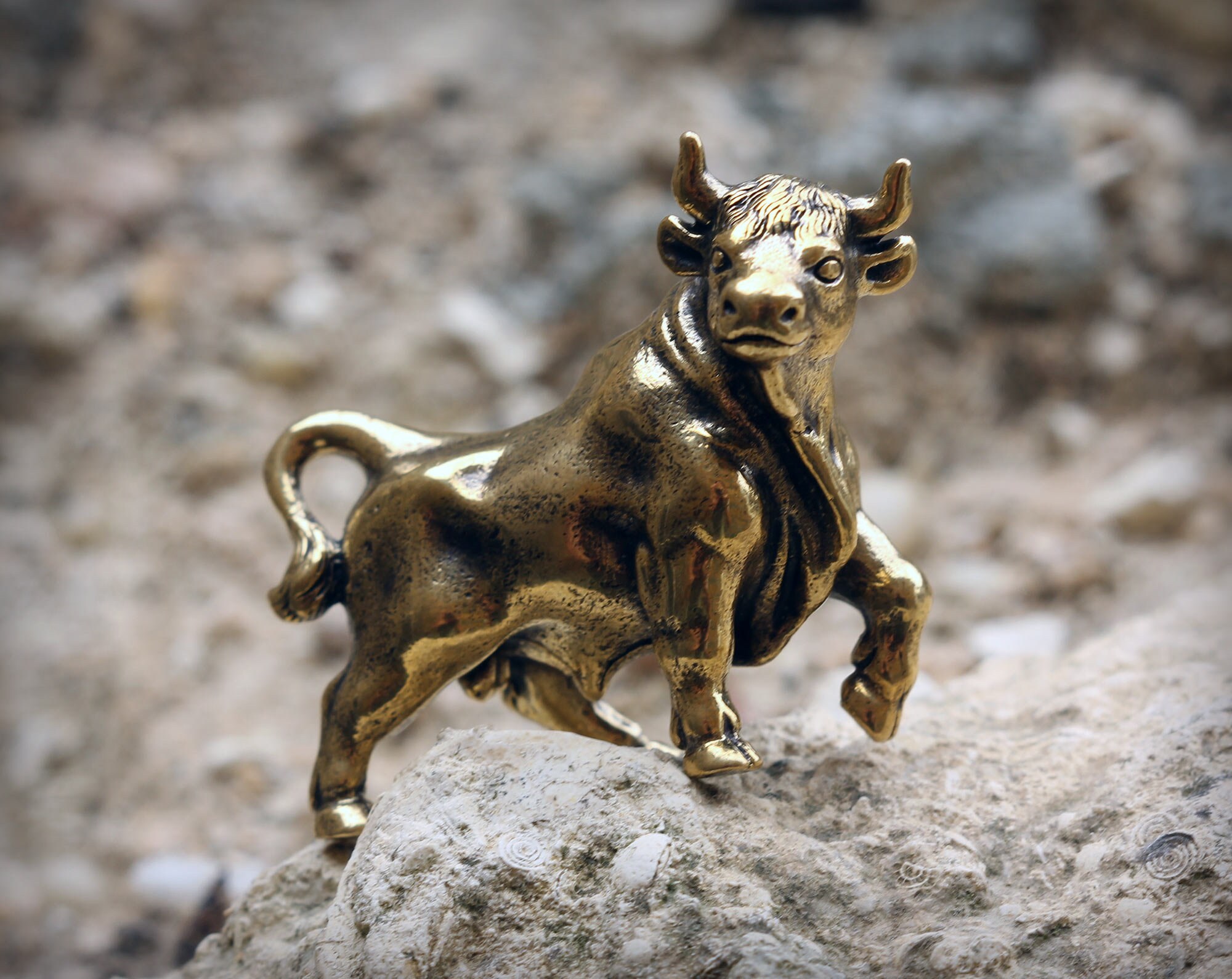 Bronze bull Large bronze miniature statuette Metal figurine 21 Etsy