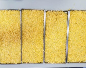 Freeze Dried Medium Cheddar Cheese