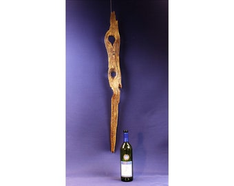 18006  Wood Wall Sculpture, Forest Sculpture , Driftwood Sculpture : Forest Pendulum