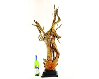 22010 Natural Wood Sculpture, Forest Sculpture, Driftwood Sculpture: Rapture