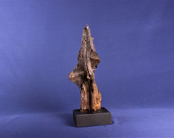 19046 Natural Wood Sculpture, Forest Sculpture, Driftwood Sculpture: Cathedral