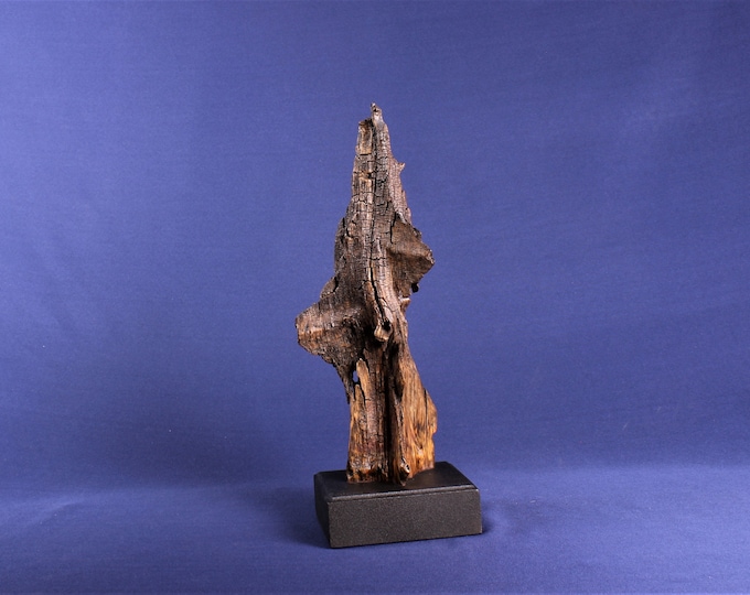 Featured listing image: 19046 Natural Wood Sculpture, Forest Sculpture, Driftwood Sculpture: Cathedral