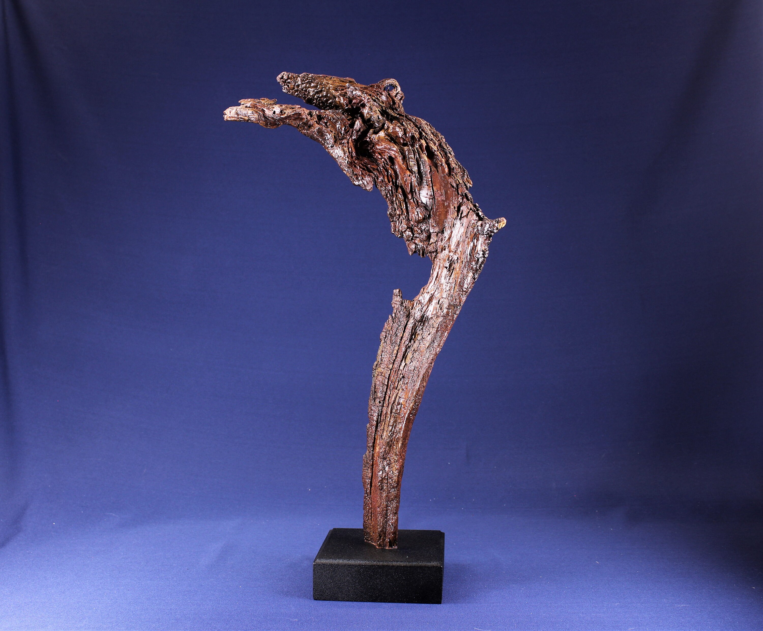 19019 Natural Wood Sculpture, Forest Sculpture, Driftwood