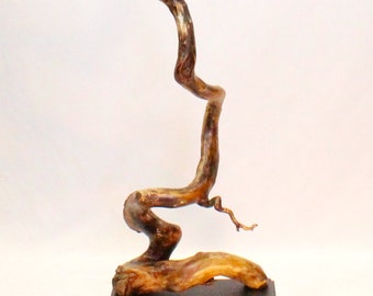 22014 Natural Wood Sculpture, Forest Sculpture, Driftwood Sculpture: Forest Viper