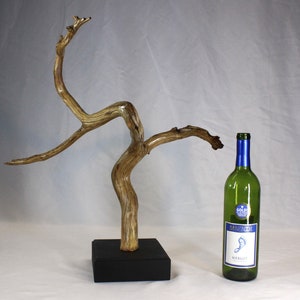 22035 Natural Wood Sculpture, Forest Sculpture, Driftwood Sculpture: Forest Dancer