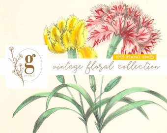1865 Floral Study: Vintage Floral Collection
