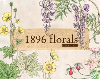 1896 Florals -  - Vintage Printables - Digital Download - Graphics & Illustrations - Collage for Journaling and Art