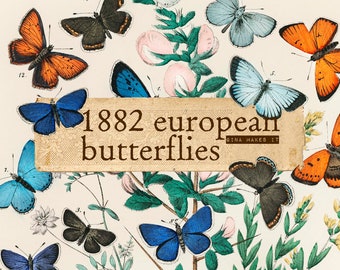 1882 European Butterflies - Vintage Printables - Digital Download - Graphics & Illustrations - Collage for Journaling and Ar