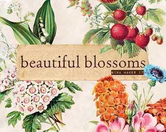 Beautiful Blossoms - Vintage Printables - Digital Download - Floral Illustrations - Collage for Journaling and Art