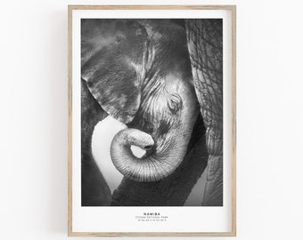 May include: Black and white photograph of an elephant calf in Etosha National Park, Namibia. The calf is seen from the side, with its trunk curled up towards its face. The image is framed with a wooden frame.