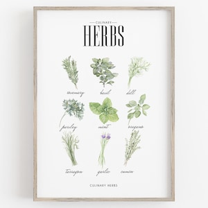 Culinary Herbs Prints, Culinary Art, Herbs Printable, Kitchen Herb Art, Spices Decor, Botanical Print, Vegetable Print, Herbs Guide Poster