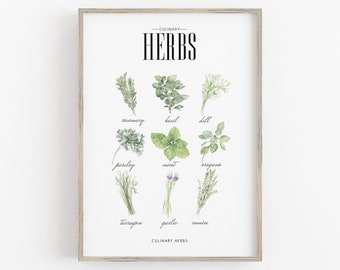 May include: A framed print featuring watercolor illustrations of culinary herbs. The print includes rosemary, basil, dill, parsley, mint, oregano, tarragon, garlic, and cumin. The word "HERBS" is displayed in bold, black letters at the top.