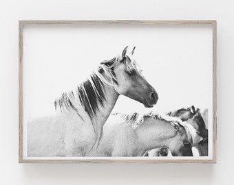 May include: Black and white photograph of a horse with its head turned to the side, looking at the camera. The horse is in a field with other horses in the background.