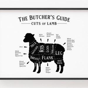K&ouml;nnte beinhalten: Eine Schwarzwei&szlig;illustration eines Lamms, das in verschiedene Fleischst&uuml;cke unterteilt ist. Die St&uuml;cke sind mit ihren Namen beschriftet, wie z. B. "Nacken", "Schulter", "Rippen", "Lende", "Filet" und "Keule".