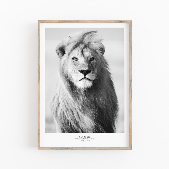 Lion Print, Lion Poster, Lion Print Download, Big Cat Print, Tiger Print, Africa Print Art, Wildlife Art Print, Black and White Animal Art