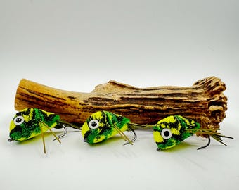 Può includere: Tre esche da pesca verdi e gialle con ami neri e zampe color oro sono esposte davanti a un pezzo di legno. Le esche hanno occhi bianchi e sono progettate per assomigliare a insetti. Il legno è di colore marrone chiaro.
