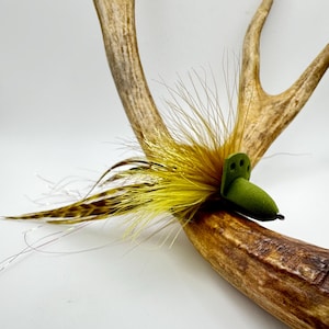 May include: A decorative antler with a fly fishing lure attached. The lure features a green body, yellow and brown feathers, and thin, silver strands. The antler is a light brown color.