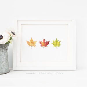 Watercolor Fall Leaves Printable Wall Art Fall Print Fall Leaf Print Red Yellow Orange Fall Colors Thanksgiving Decor Fall Maple Leaf Decor