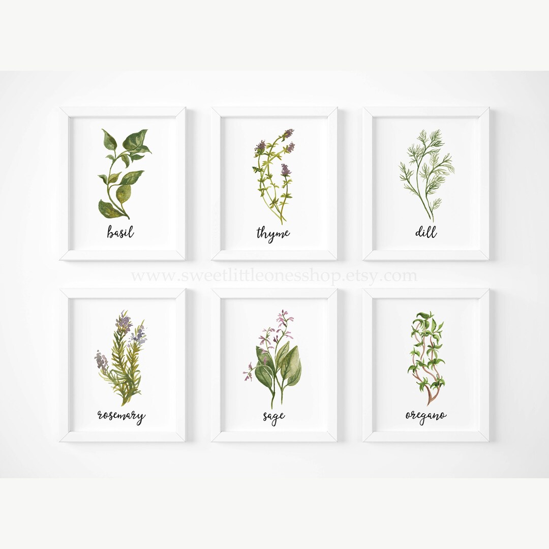 8x10 Set of 6 Kitchen Herbs Prints Basil Thyme Dill Rosemary Sage ...