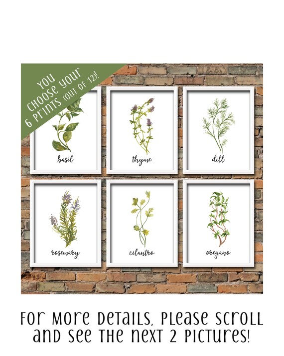 custom set of 6 watercolor herb printables choose herb