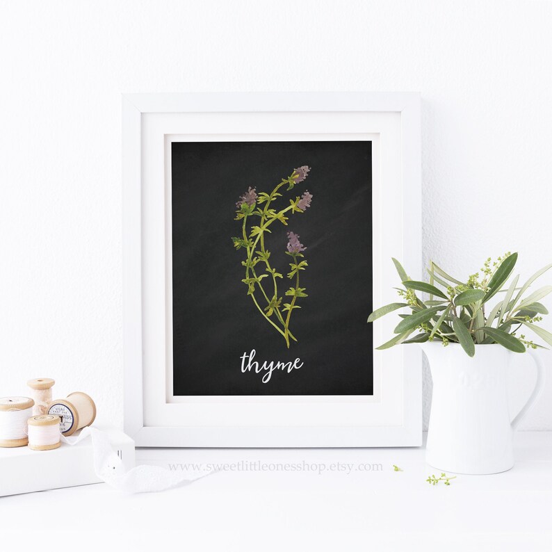Thyme Herb Printable Wall Art Kitchen Decor Watercolor Herb Print Chalkboard Herb Prints Kitchen Herb Printable Watercolor Thyme Chalkboard